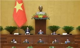 Sửa Luật Đất đai: Chuẩn bị kỹ lưỡng, thận trọng và xem xét thông qua kịp thời